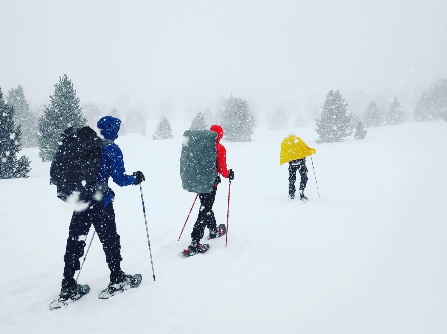 Excursion ski de randonnée pour l'équipe La Virgule 
